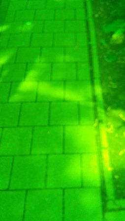 20150627_145124.jpg