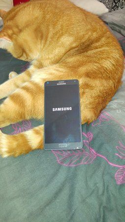 20150629_153133.jpg
