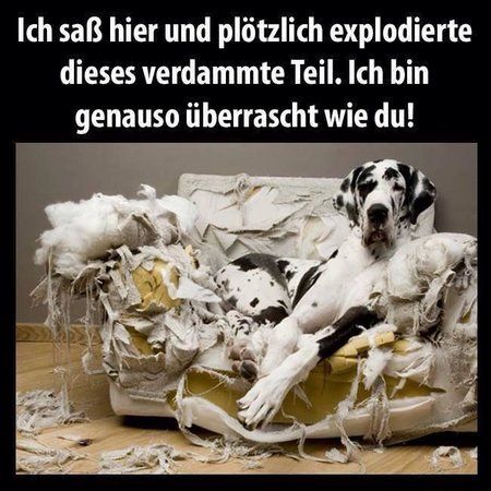 uploadfromtaptalk1435675026002.jpg