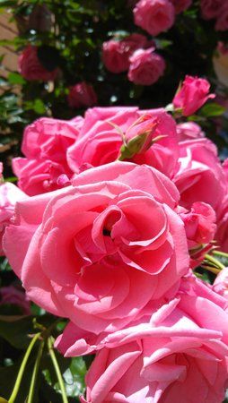 20150628_124823.jpg