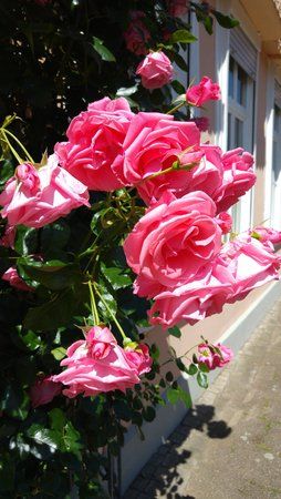 20150628_124832.jpg