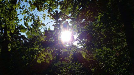 20150702_072623.jpg