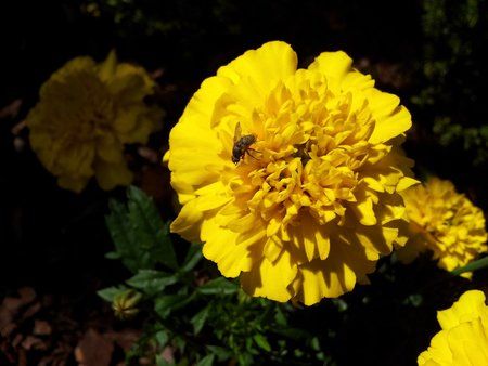 2011-07-01 16.16.19.jpg