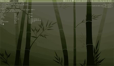 2011-07-14-233716_1024x600_scrot.png