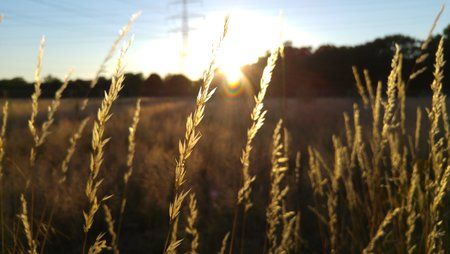 20150706_205404.jpg