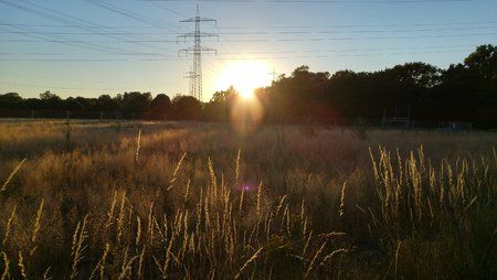 20150706_205356_HDR.jpg