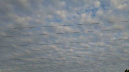 20150708_061434.jpg
