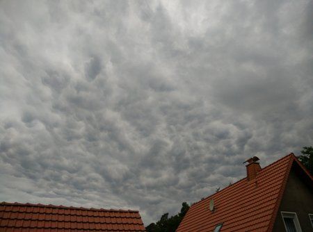 IMG_20150616_183708.jpg