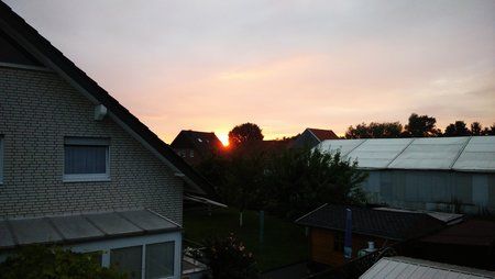 IMG_20150715_212230.jpg