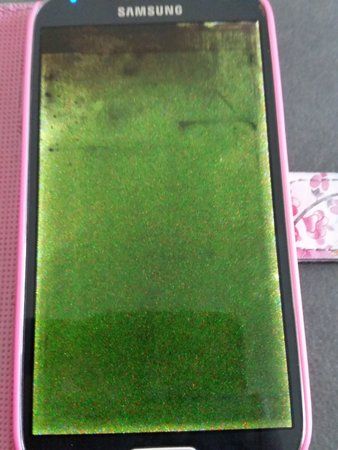 20150721_141549.jpg
