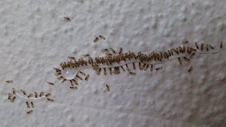 20150721_193102.jpg