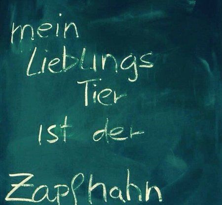 Lieblingstier.jpg