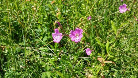 20150710_135046_HDR.jpg