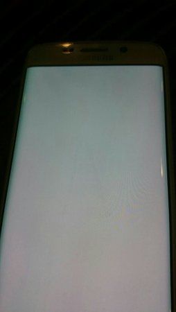 1438453464128.jpg