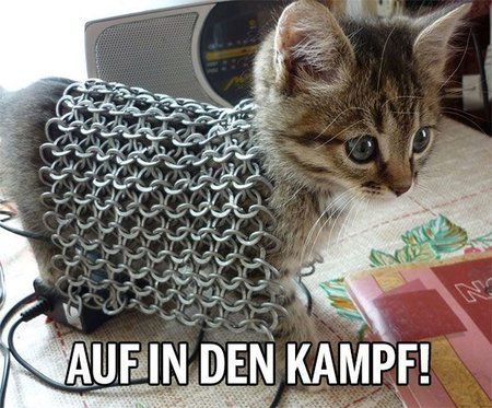 Ritter Katze.jpg