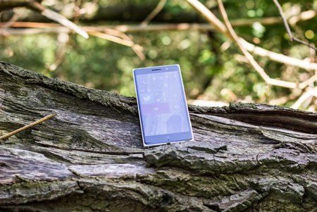 Lumia_00.jpg