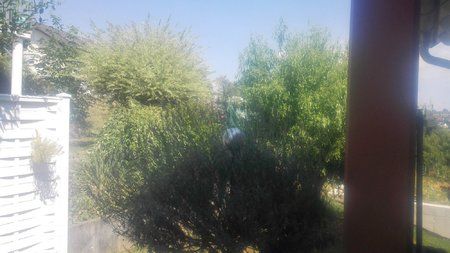 IMG_20150802_125008.jpg