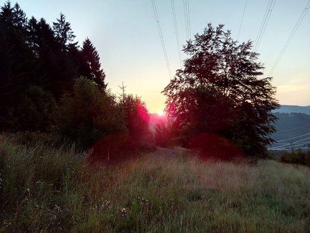 IMG_20150802_061025_1.jpg