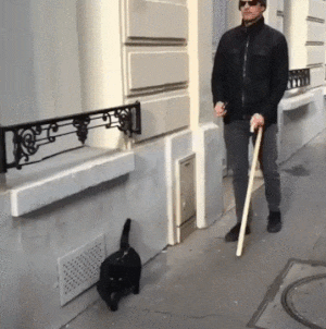 1f97d783bb.gif