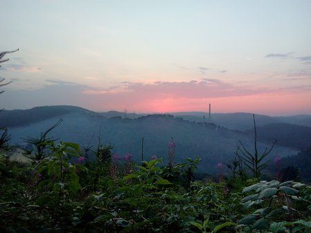 IMG_20150807_061006_2.jpg