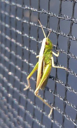 20150807_145538-1-1.jpg