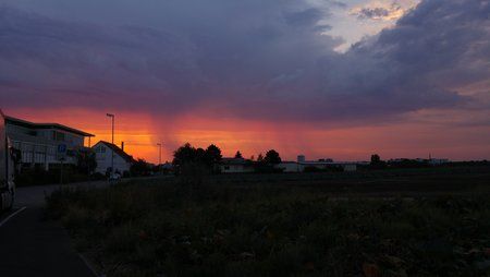 20150808_061341.jpg