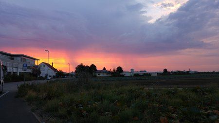 20150808_061329.jpg