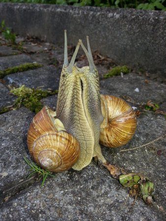 20150507_075736.jpg
