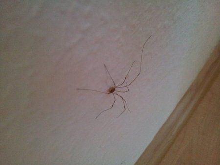 2011-07-09 11.23.54.jpg