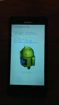 IMAG0274.jpg