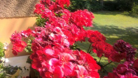 WP_20150814_14_42_52_Pro.jpg