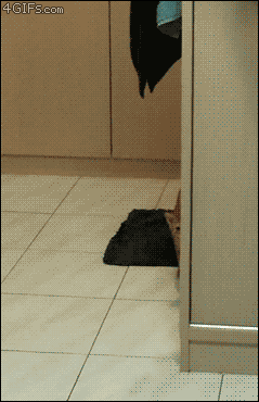 0b25bf2124.gif