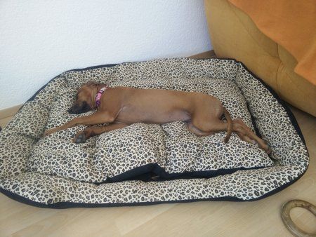 uploadfromtaptalk1440854351220.jpg