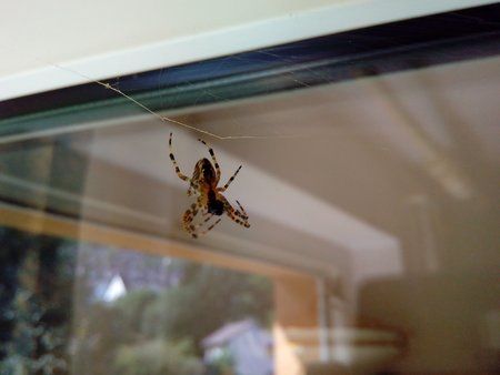 IMG_20150829_150746.jpg
