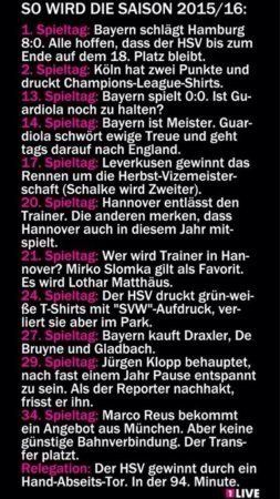 bundesligasaison 2015.jpg