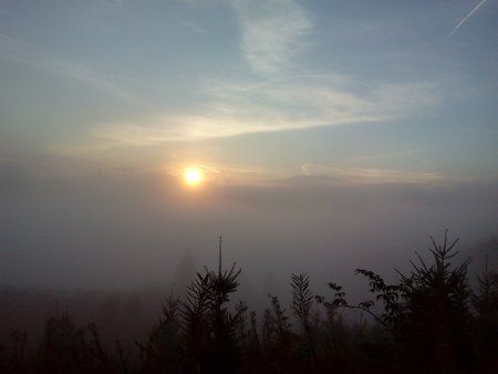 IMG_20150913_072425.jpg
