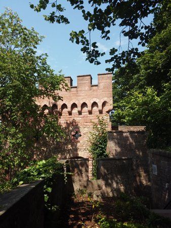 20150705_153616.jpg