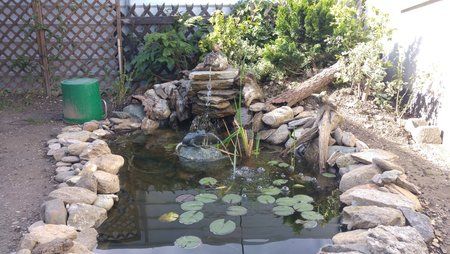 20150907_155854.jpg