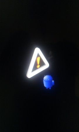 IMG_20110808_072641.jpg