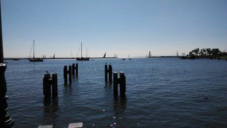 3-Redmi1_20150911_125520_BURST1.jpg
