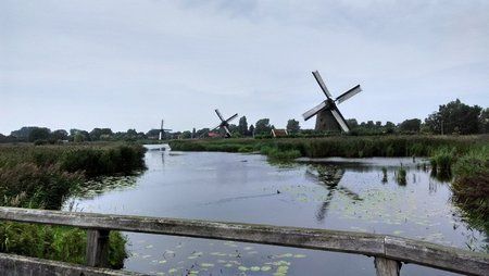 8-Redmi1_20150912_143109_HDR.jpg