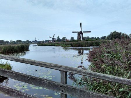 7-Redmi2_20150912_143025_HDR.jpg