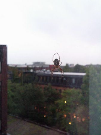 IMG_20150922_190441044.jpg