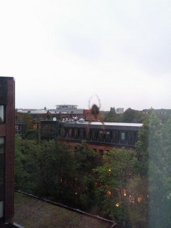 IMG_20150922_190436718.jpg