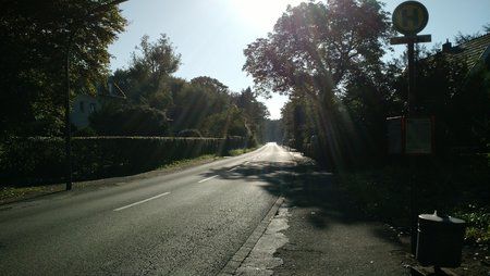 DSC_0031.JPG