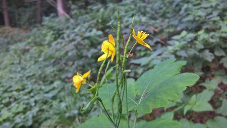 WP_20150926_17_17_01_Pro.jpg