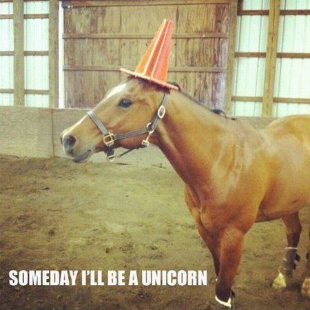 eines-tages-werde-ich-ein-einhorn-sein.jpg