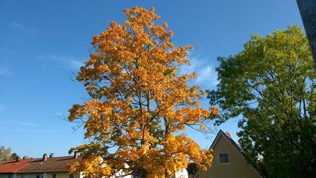 Lumia730_noHDR.jpg