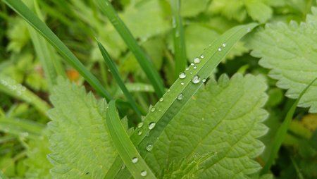 20151004_135214.jpg