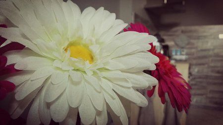 IMG_20151005_084422.jpg